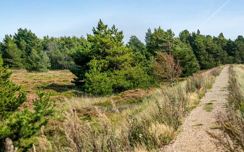 Gabriela - 1Km from the Sea: Lucht, Blad, Vegetation, Natuurlijk Landschap, Struik, Ecoregio, Wildernis, Plantengemeenschap, Trail, Woud