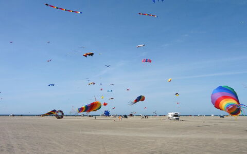 Cora - 1Km from the Sea: Woongebied, Dak, Voorstad, Oprit, Landgoed, Schoorsteen