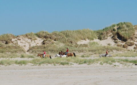 Cora - 1Km from the Sea: Woongebied, Dak, Voorstad, Oprit, Landgoed, Schoorsteen
