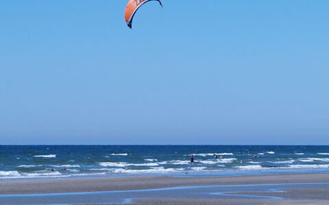 Patrizia - 1Km from the Sea: Gebouw, Huis, Venster, Huis, Dak, Woongebied, Struik, Verblijf, Land Lot