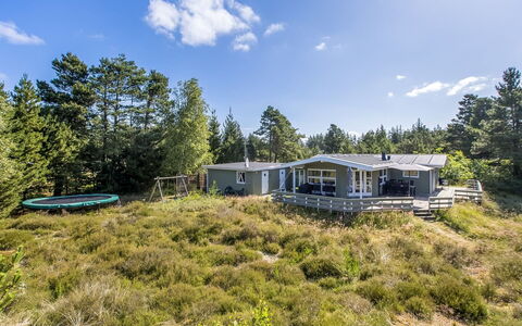 Silva - 3.9Km from the Sea: Huis, Dak, Huis, Deur, Verblijf, Schaduw, Tuin, Groundcover, Veranda, Werf