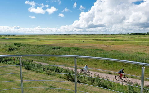 Merisa - 2.5Km from the Sea: Lucht, Wolk, Horizon, Natuurlijk Landschap, Grasland, Ecoregio, Plain, Prairie, Cumulus, Steppe