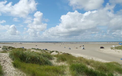 Hermandine - 700M from the Sea: Dak, Huis, Land Lot, Huis, Verblijf, Landgoed, Garden Gebouwen, Schaduw, Blokhut, Landscaping