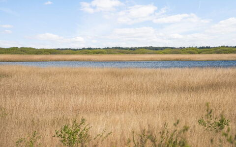 Hermandine - 700M from the Sea: Dak, Huis, Land Lot, Huis, Verblijf, Landgoed, Garden Gebouwen, Schaduw, Blokhut, Landscaping