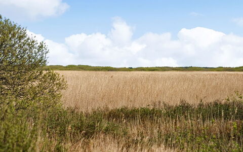 Hermandine - 700M from the Sea: Dak, Huis, Land Lot, Huis, Verblijf, Landgoed, Garden Gebouwen, Schaduw, Blokhut, Landscaping