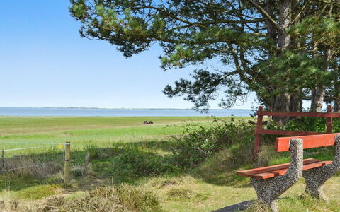 Sedine - 3.9Km from the Sea: Gras, Groen, Natuurlijk Landschap, Grasland, Zomer, Openluchtbank, Meubilair, Zee, Plain, Land Lot