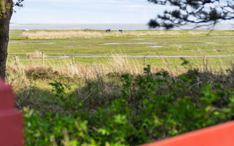 Sedine - 3.9Km from the Sea: Plantengemeenschap, Zonlicht, Kruidachtige Plant, Tuin, Plantage, Landbouw, Boerderij