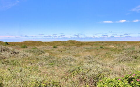 Zekine - 2.5Km from the Sea: Lucht, Blauw, Grasland, Gras, Natuurlijke Omgeving, Ecoregio, Vegetation, Horizon, Natuurlijk Landschap, Plain