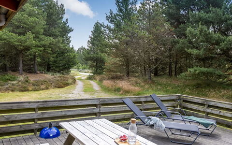 Falki - 2.5Km from the Sea: Gebouw, Huis, Venster, Huis, Dak, Woongebied, Struik, Verblijf, Land Lot