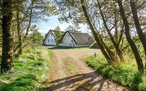 Trana - 2Km from the Sea: Weide