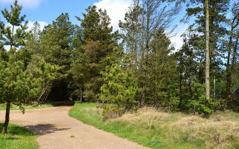 Trana - 2Km from the Sea: Blad, Boom, Groen, Natuur, Afdeling, Vegetation, Natuurlijk Landschap, Struik, Trail, Plantengemeenschap