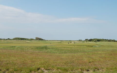 Arabella - 2.3Km from the Sea: Dak, Huis, Land Lot, Huis, Verblijf, Landgoed, Garden Gebouwen, Schaduw, Blokhut, Landscaping