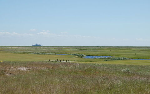 Arabella - 2.3Km from the Sea: Dak, Huis, Land Lot, Huis, Verblijf, Landgoed, Garden Gebouwen, Schaduw, Blokhut, Landscaping
