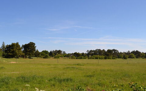 Naili - 3.1Km from the Sea: Blauw, Groen, Gras, Grasland, Natuurlijk Landschap, Vegetation, Plain, Ecoregio, Prairie, Land Lot