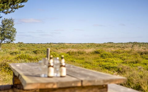 Artan - 2.6Km from the Sea: Gras, Grasland, Landschap, Ecoregio, Plain, Plantengemeenschap, Land Lot, Buitenmeubels, Prairie, Shrubland