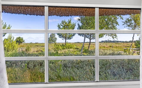 Artan - 2.6Km from the Sea: Gras, Grasland, Landschap, Ecoregio, Plain, Plantengemeenschap, Land Lot, Buitenmeubels, Prairie, Shrubland