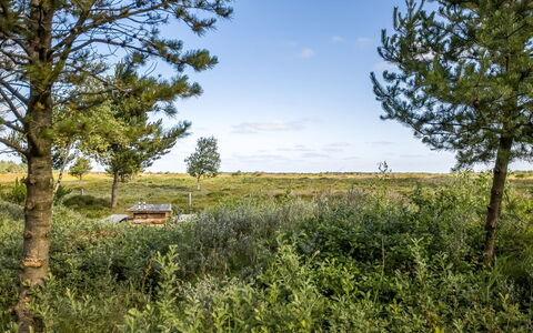 Artan - 2.6Km from the Sea: Gras, Grasland, Landschap, Ecoregio, Plain, Plantengemeenschap, Land Lot, Buitenmeubels, Prairie, Shrubland