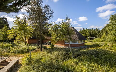 Artan - 2.6Km from the Sea: Gras, Grasland, Landschap, Ecoregio, Plain, Plantengemeenschap, Land Lot, Buitenmeubels, Prairie, Shrubland