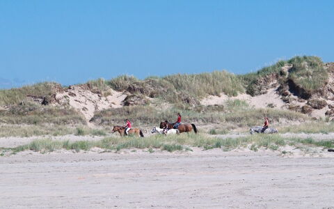 Elise - 800M from the Sea: Gebouw, Huis, Venster, Huis, Dak, Woongebied, Struik, Verblijf, Land Lot