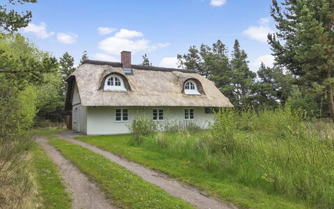 Volmar - 3.5Km from the Sea: Thatching, Verblijf, Huis, Dak, Huis, Boerderij, Hut, Landgoed, Dorp