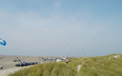 Fiona - 800M from the Sea: Verblijf, Schuur, Hut, Boerderij, Prairie, Keet, Schuur, Blokhut, Garden Gebouwen