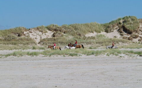 Fiona - 800M from the Sea: Verblijf, Schuur, Hut, Boerderij, Prairie, Keet, Schuur, Blokhut, Garden Gebouwen