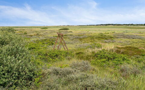 Fiona - 800M from the Sea: Verblijf, Schuur, Hut, Boerderij, Prairie, Keet, Schuur, Blokhut, Garden Gebouwen