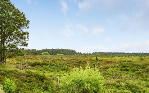 Alfwin - 3Km from the Sea: Gebouw, Huis, Venster, Huis, Dak, Woongebied, Struik, Verblijf, Land Lot