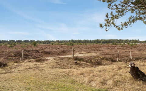 Alfwin - 3Km from the Sea: Gebouw, Huis, Venster, Huis, Dak, Woongebied, Struik, Verblijf, Land Lot