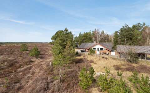 Alfwin - 3Km from the Sea: Gebouw, Huis, Venster, Huis, Dak, Woongebied, Struik, Verblijf, Land Lot