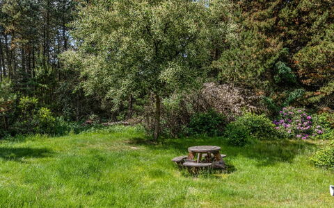 Jul - 900M from the Sea: Boom, Gras, Groen, Blad, Vegetation, Struik, Tuin, Plantengemeenschap, Grasland, Land Lot