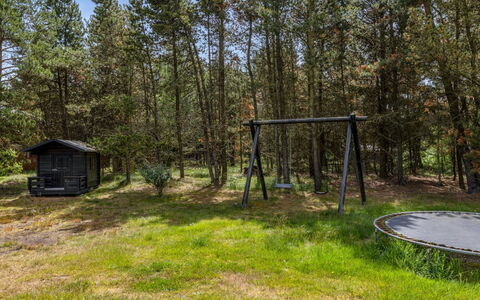 Jul - 900M from the Sea: Boom, Gras, Land Lot, Trunk, Bos, Bosje, Woud, Schaduw, Tuin, Park