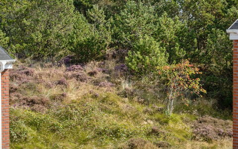 Maylin - 2.3Km from the Sea: Dak, Huis, Land Lot, Huis, Verblijf, Landgoed, Garden Gebouwen, Schaduw, Blokhut, Landscaping