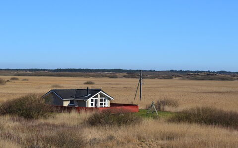 Arnkil - 700M from the Sea: Struik, Stedelijk Ontwerp, Groundcover, Steen, Appartement, Landgoed, Metselwerk, Balkon, Landscaping