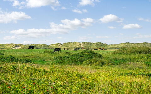 Mortensen - 350M from the Sea: Verblijf, Schuur, Hut, Boerderij, Prairie, Keet, Schuur, Blokhut, Garden Gebouwen