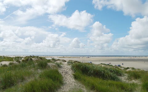 Kalf - 400M from the Sea: Gras, Huis, Dak, Huis, Verblijf, Struik, Land Lot, Landelijk Gebied, Boerderij, Groundcover