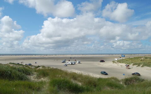 Kalf - 400M from the Sea: Gras, Huis, Dak, Huis, Verblijf, Struik, Land Lot, Landelijk Gebied, Boerderij, Groundcover