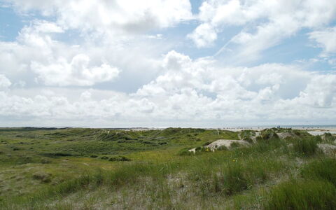Kalf - 400M from the Sea: Gras, Huis, Dak, Huis, Verblijf, Struik, Land Lot, Landelijk Gebied, Boerderij, Groundcover