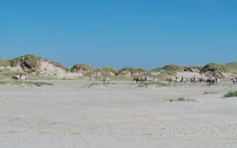 Sigrun - 4Km from the Sea: Woongebied, Dak, Voorstad, Oprit, Landgoed, Schoorsteen