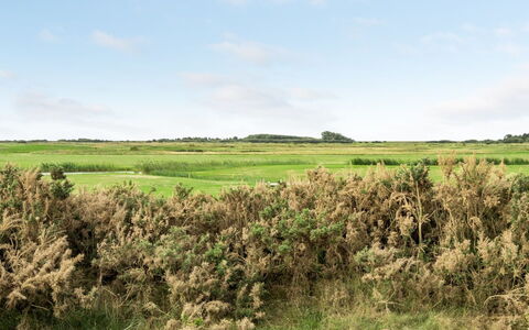 Hugo - 2.5Km from the Sea: Dak, Huis, Huis, Verblijf, Deur, Siding, Landgoed, Gazon, Werf, Veranda