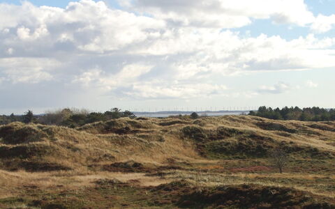 Inga - 1.3Km from the Sea: Lucht, Blauw, Wolk, Vegetation, Grasland, Ecoregio, Horizon, Plantengemeenschap, Bruin, Wildernis