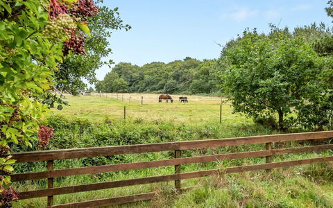 Botulf - 3.8Km from the Sea: Verblijf, Huis, Huis, Dak, Veranda, Landgoed, Siding, Garden Gebouwen, Boerderij, Werf
