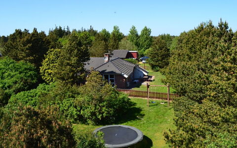 Botulf - 3.8Km from the Sea: Struik, Tuin, Gazon, Verblijf, Landscaping, Werf, Backyard, Evergreen