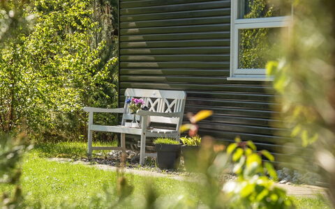 Bogatin - 1Km from the Sea: Groen, Meubilair, Buitenmeubels, Struik, Tuin, Groundcover, De Lente, Stoel, Schaduw, Werf