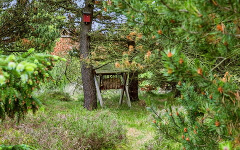Bogatin - 1Km from the Sea: Natuurlijke Omgeving, Vegetation, Struik, Woud, Groundcover, Tuin, Trunk, Natuurgebied, Woody Plant, Jungle