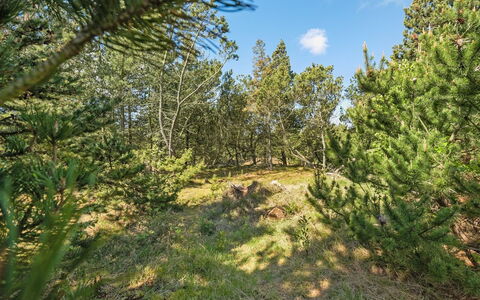 Bogatin - 1Km from the Sea: Woongebied, Struik, Huis, Huis, Tuin, Landgoed, Schaduw, Landscaping, Gazon