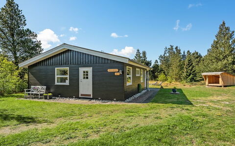 Bogatin - 1Km from the Sea: Woongebied, Struik, Huis, Huis, Tuin, Landgoed, Schaduw, Landscaping, Gazon