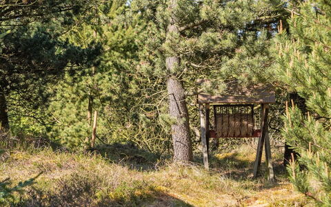 Bogatin - 1Km from the Sea: Woongebied, Struik, Huis, Huis, Tuin, Landgoed, Schaduw, Landscaping, Gazon