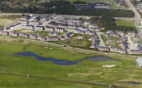 Hansia: Struik, Stedelijk Ontwerp, Groundcover, Steen, Appartement, Landgoed, Metselwerk, Balkon, Landscaping