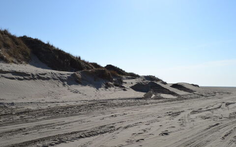 Elinora - 100M from the Sea: Natuurlijke Omgeving, Zand, Ecoregio, Landschap, Terrein, Geologie, Helling